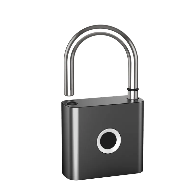 P50F Fingerprint Padlock with Backup Keys